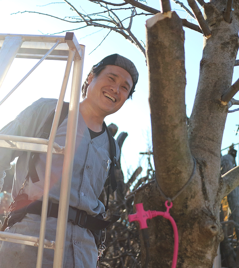 西田 敏行　造園造形師